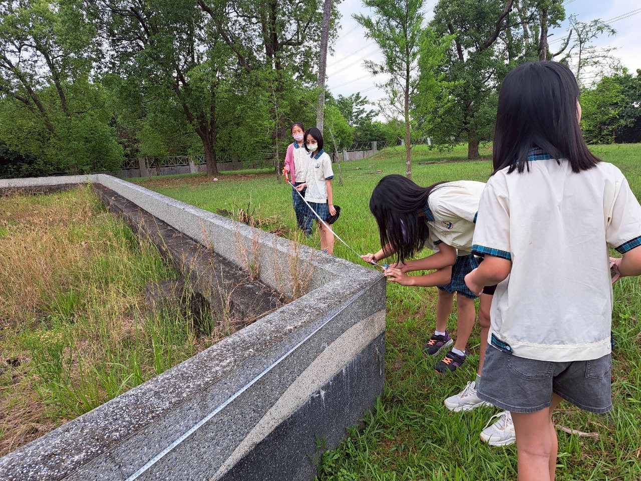 相關圖片