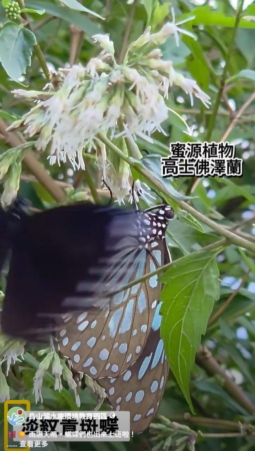 相關圖片